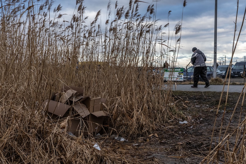 A pile of cardboard boxes sits discarded among tall brown grass. A man walks past in the distance