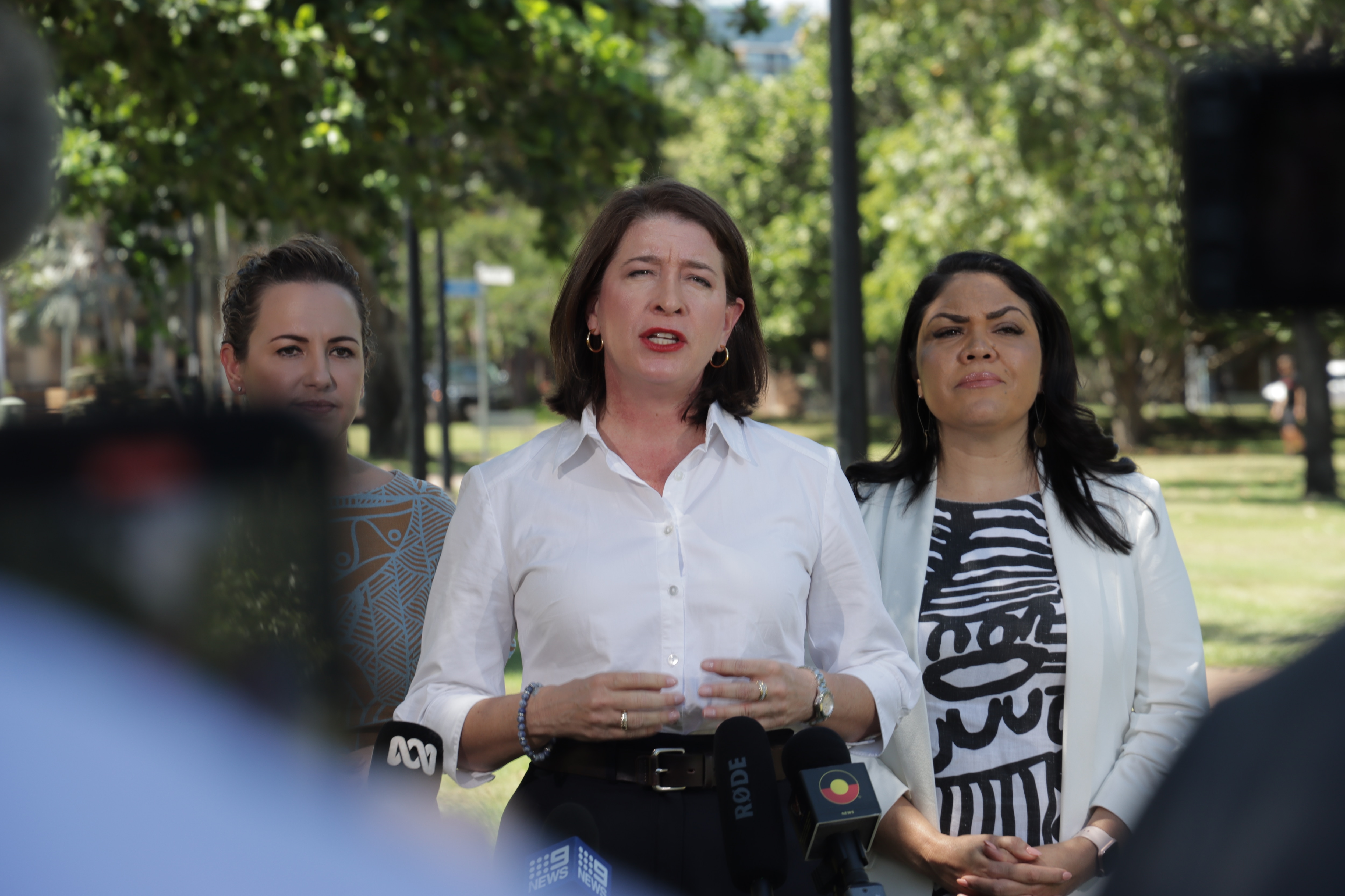 Examen del brazo medio.