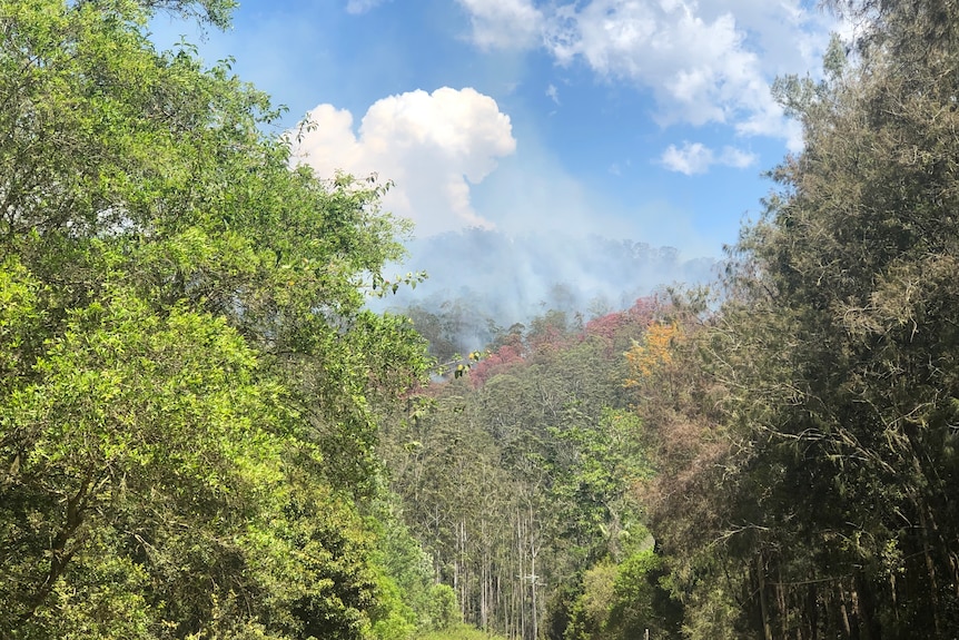 Bush land with smoke in the distance