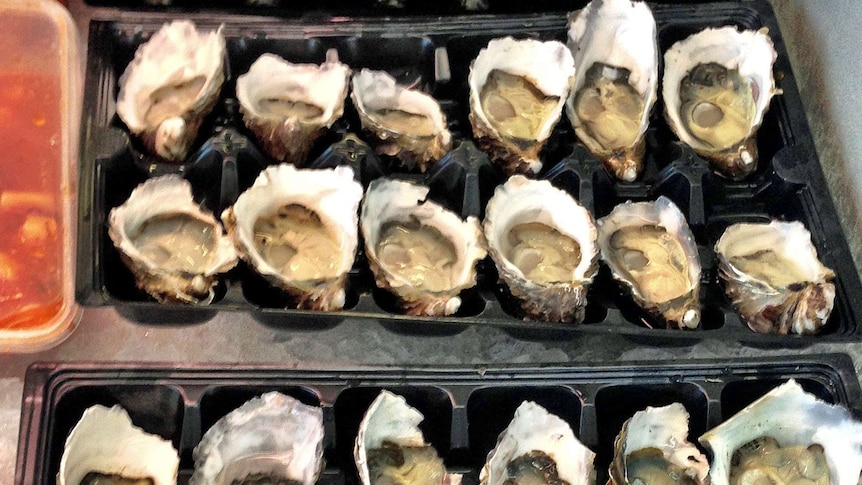 Tasmanian oysters sit on a tray in a shop.