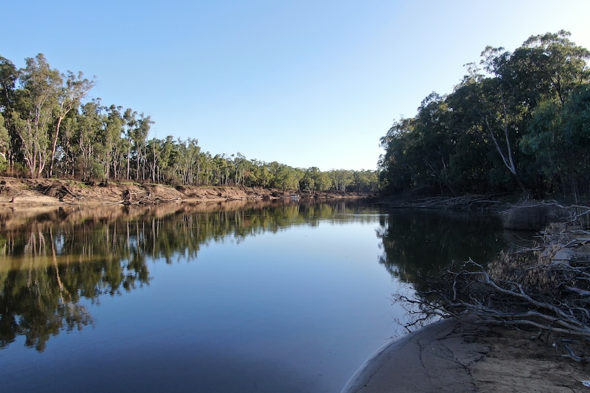 The banks of a river in afternoon light.