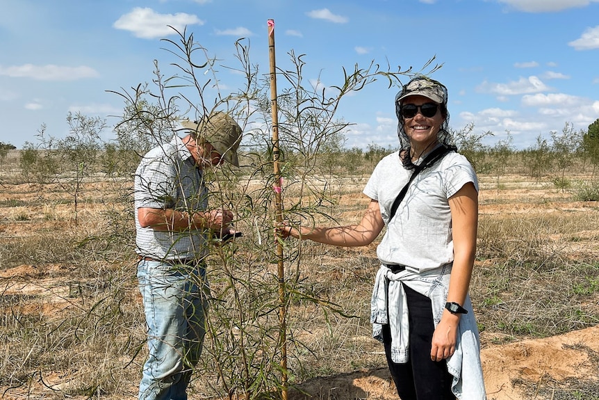 woman standing holding native tree as it is planted in field with male colleague standing close by