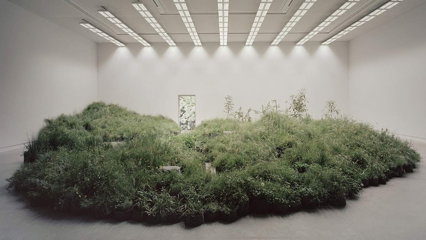 An amorphous mass of wild grass sits at the centre of a stark white gallery room, lit by white LED lights.