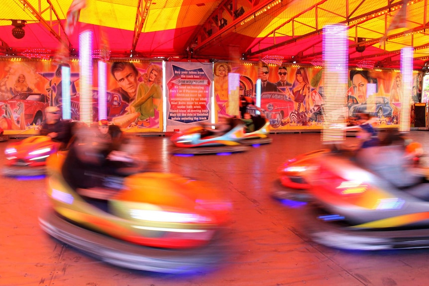 Dodgem cars at the Ekka