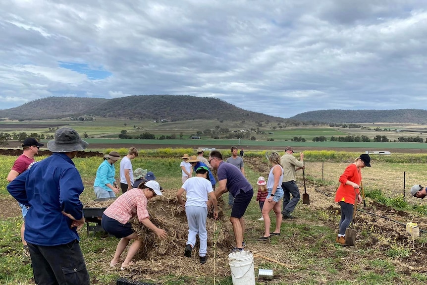 People in a paddock planting trees with a mountain range in the distance.