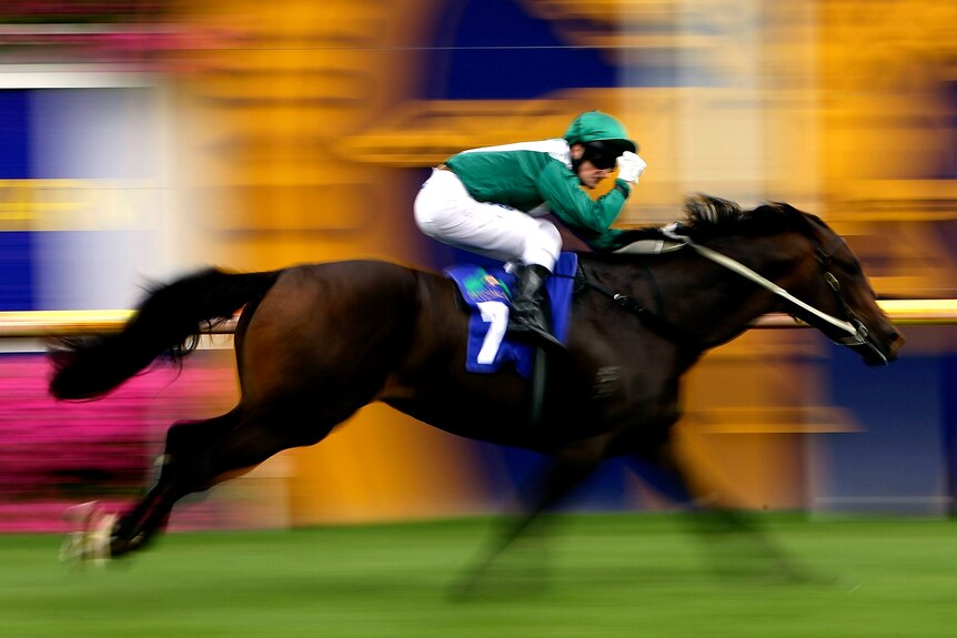 Craig Newitt riding Samaready wins the Blue Diamond Prelude