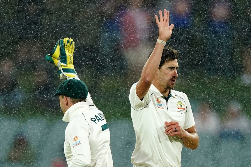 Mitchell Starc and Tim Paine hold their hands up after completing a high five as droplets of rain fall through the sky.