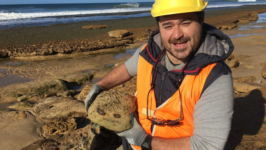 Ben Franticelli holds rock that contains ancient whale ribs