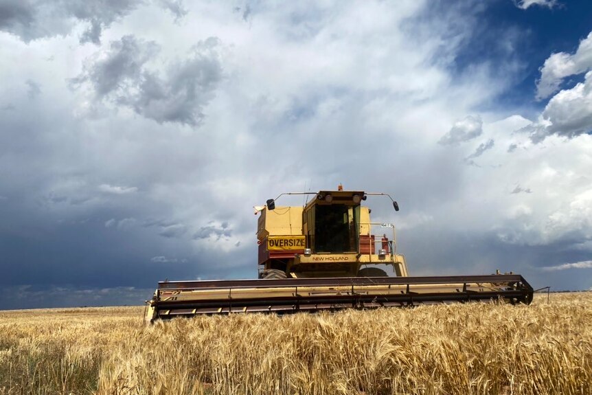 A harvester in a paddock with dark clouds above.