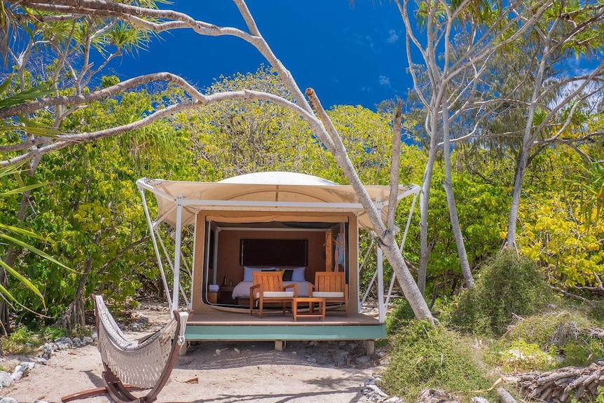 A beach cabin with a hammock in front of it is surrounded by trees.
