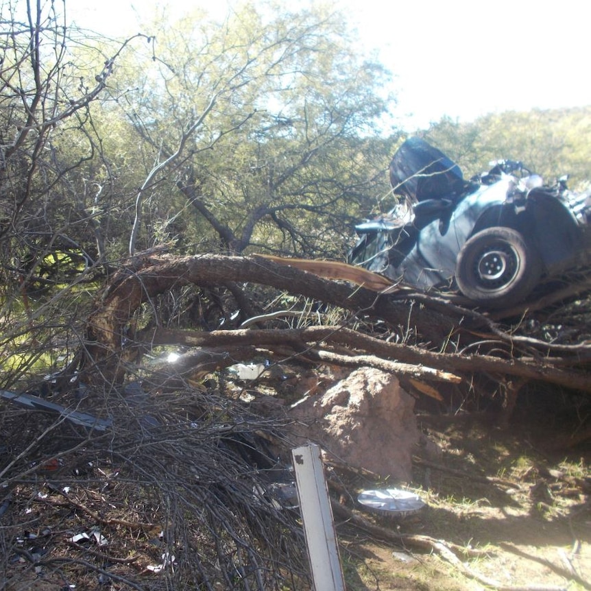 A twisted wreckage of a vehicle sits atop damaged tree branches, with debris scattered on the ground.
