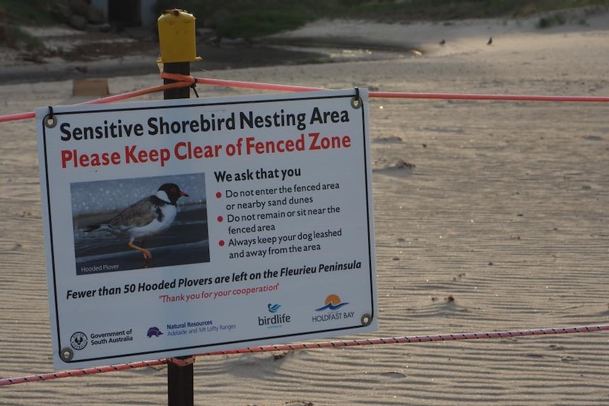 Picture of bird sign warning people to keep away from a sensitive nesting area