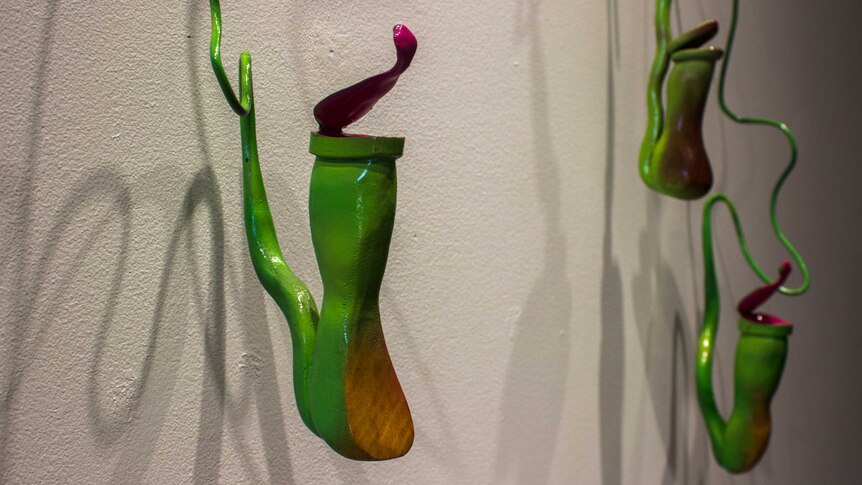 Denise Brown: 'Pitcher Plants'