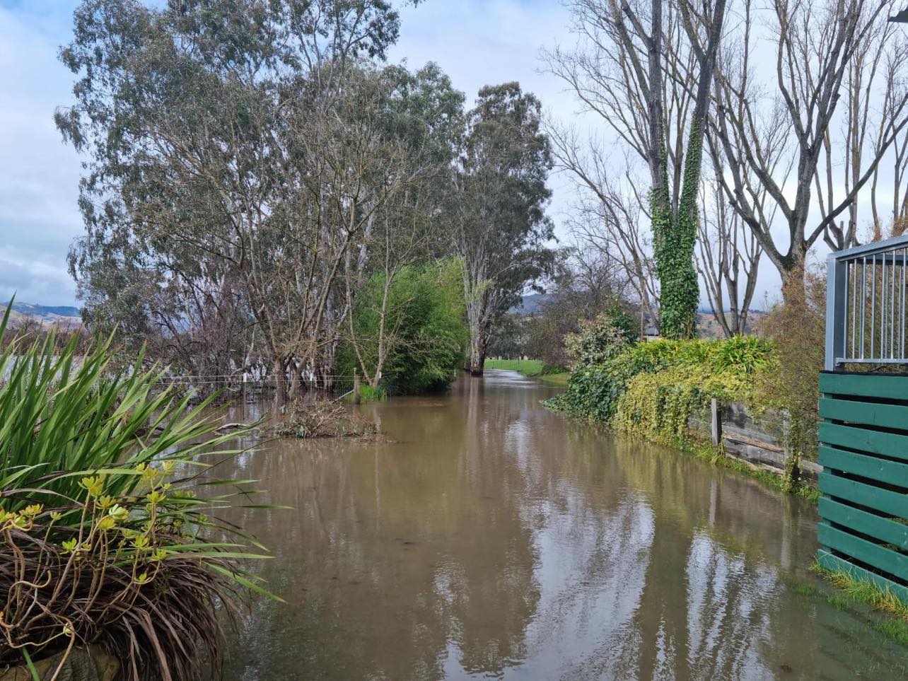 A flooded area with several trees around and a bench half submerged in water 