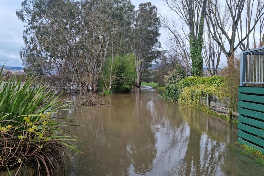 A flooded area with several trees around and a bench half submerged in water 