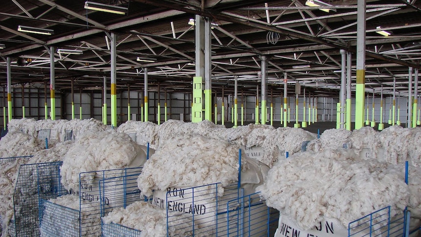 large open bales of wool with wool tumbling out