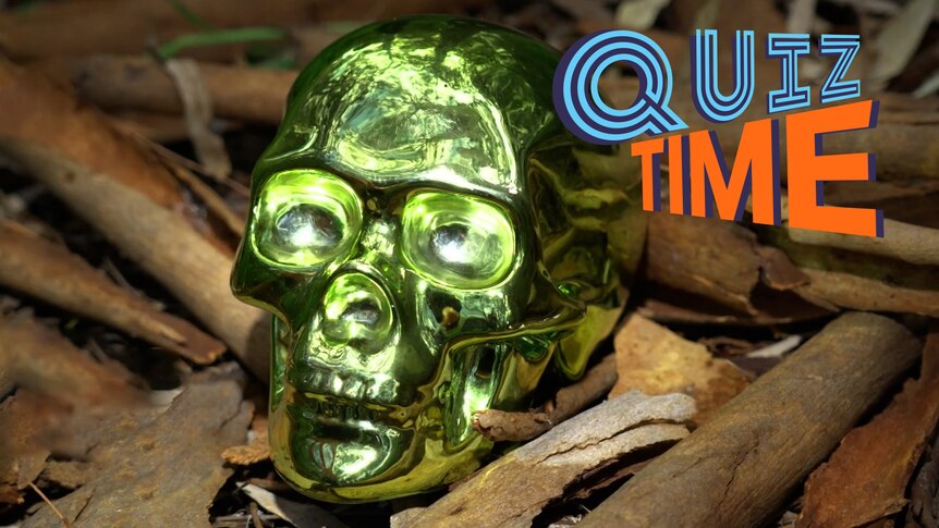 A pretend skull made from a shiny, metallic gold material lays amongst eucalyptus bark on the ground.
