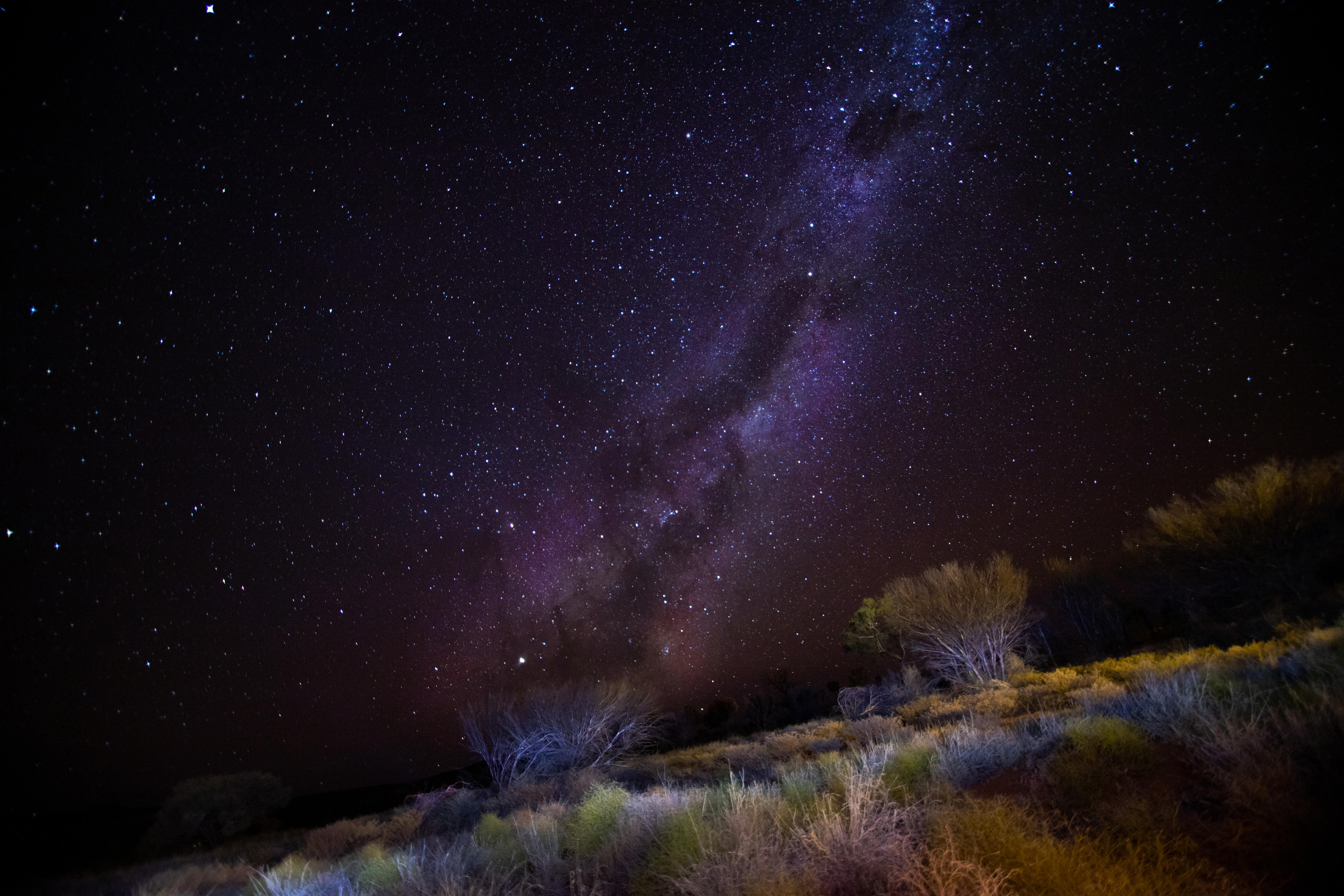 A large dark cloud in the shape of an emu