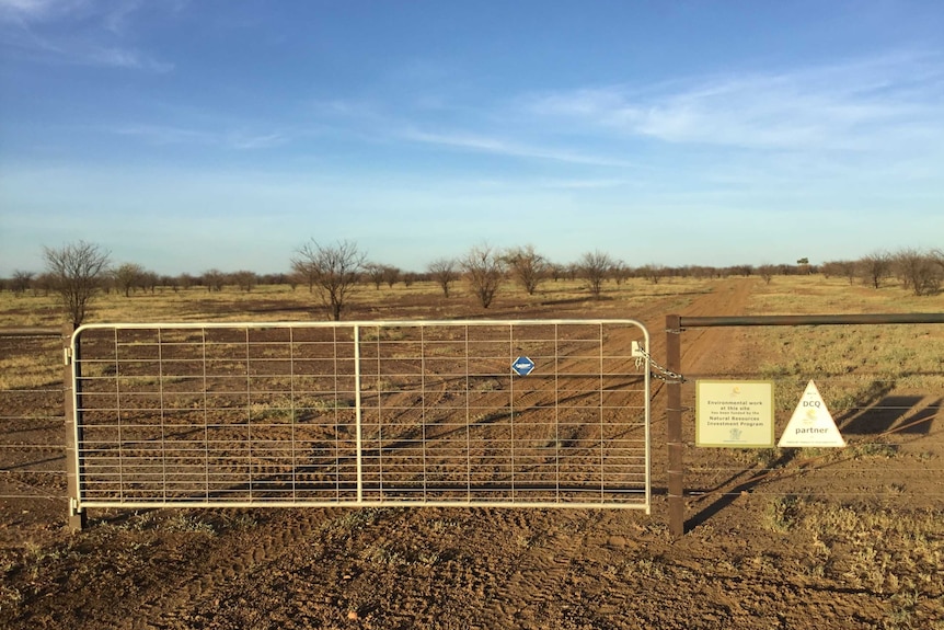 A dirt road is closed off by a gate with grass on the side under a blue sky