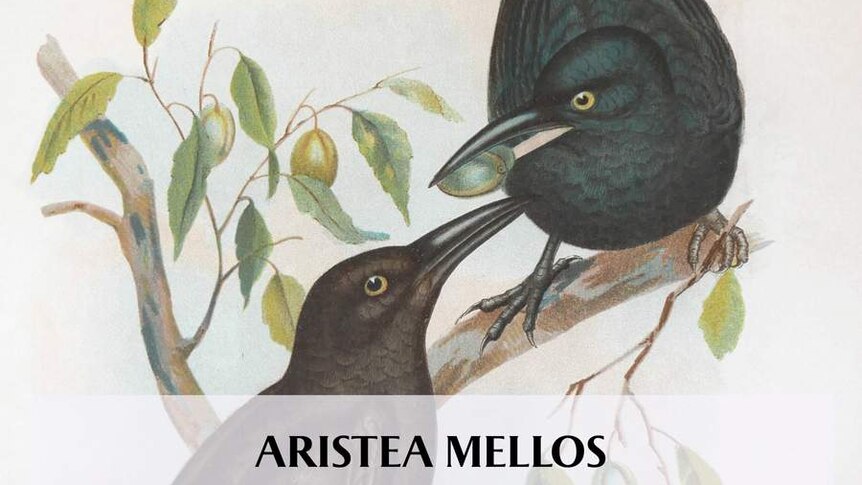 Aristea Mellos talks her new album 'Preludes & Duets'