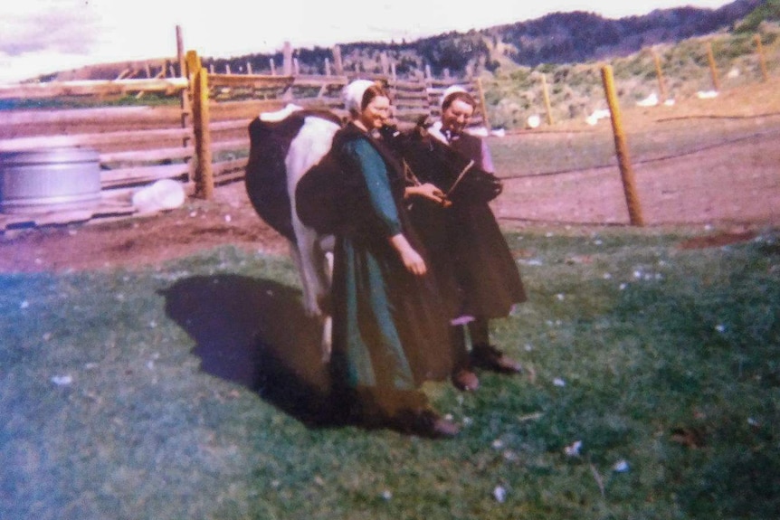 An old photograph of two young Amish women standing next to a cow