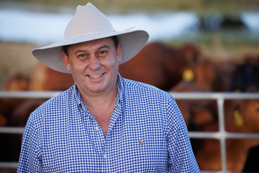 A man stands in front of cattle with a wide brimmed hat and blue checked button up shirt