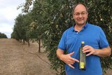High tech labelling used to connect international consumers with Australian Olive producers.