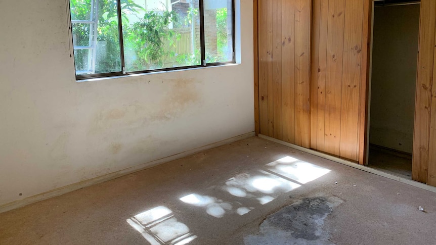 a bare bed room with a walk in a wardrobe, the carpet is torn or rotted