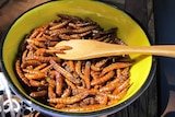 Fried mealworms