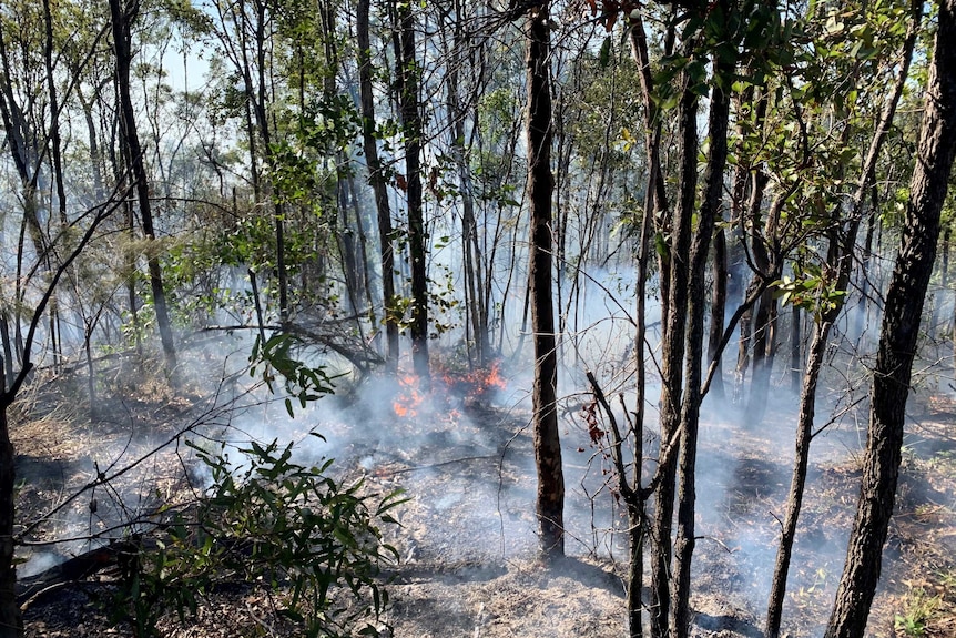Smoking bushland with some small flames.