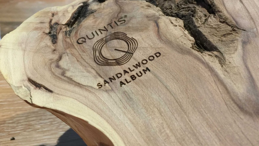 A sandwood branch has been sawn in half, with the polished side embossed with the Quintis logo, a series of rings.