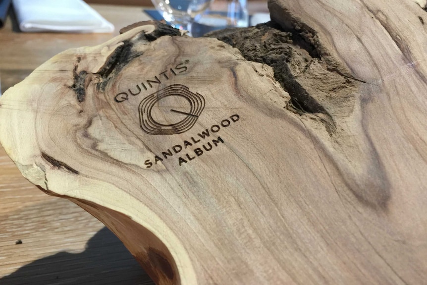 A sandwood branch has been sawn in half, with the polished side embossed with the Quintis logo, a series of rings.