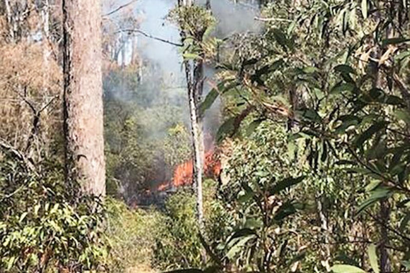 A bushfire in Blackdown Tableland National Park