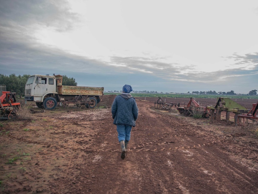 Rita walks across the farm.