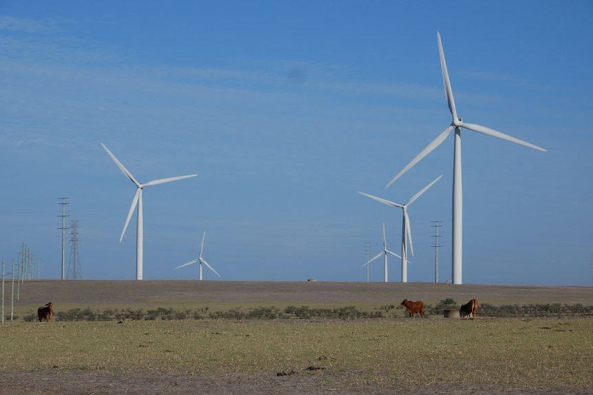 Windmills in Australia