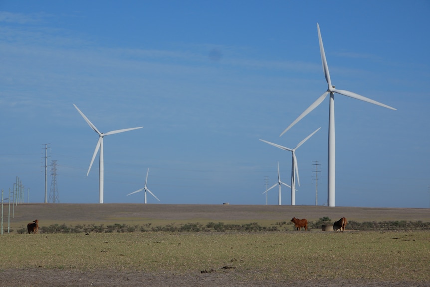 wind turbines against a blue sky