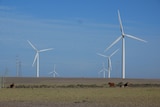 Windmills in Australia