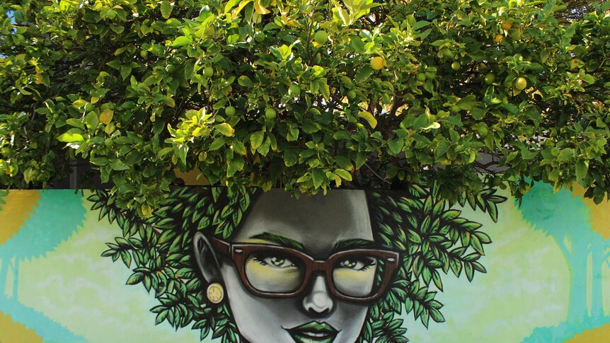 A mural painted on the side of a wall with a lemon tree overhanging