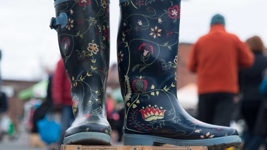 gumboot on a box