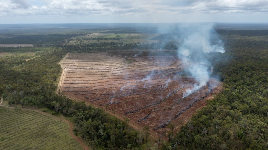 A patch of smouldering cleared land amid bushland.