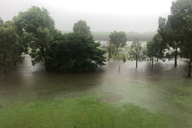 A rain drenched yard and farm in far north Queensland where 250 millimetres of rain has fallen