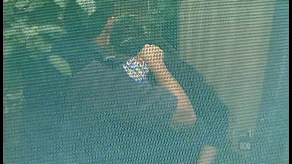 Police recover teen escapee - ABC News