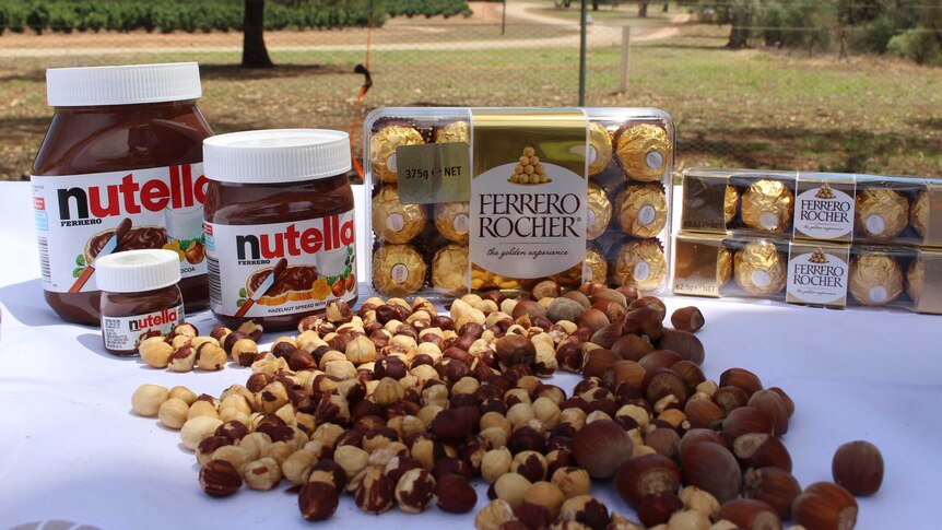 The finished products for hazelnuts grown in southern New Soouth Wales is Nutella.
