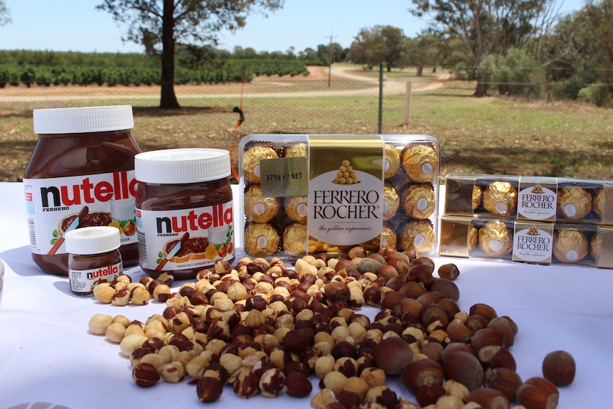 The finished products for hazelnuts grown in southern New Soouth Wales is Nutella.