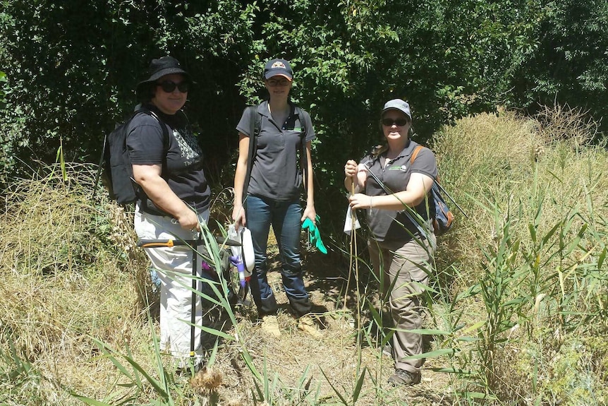 Three women volunteers pose for a photo wearing the equipment they use to help treat wombats for mange.