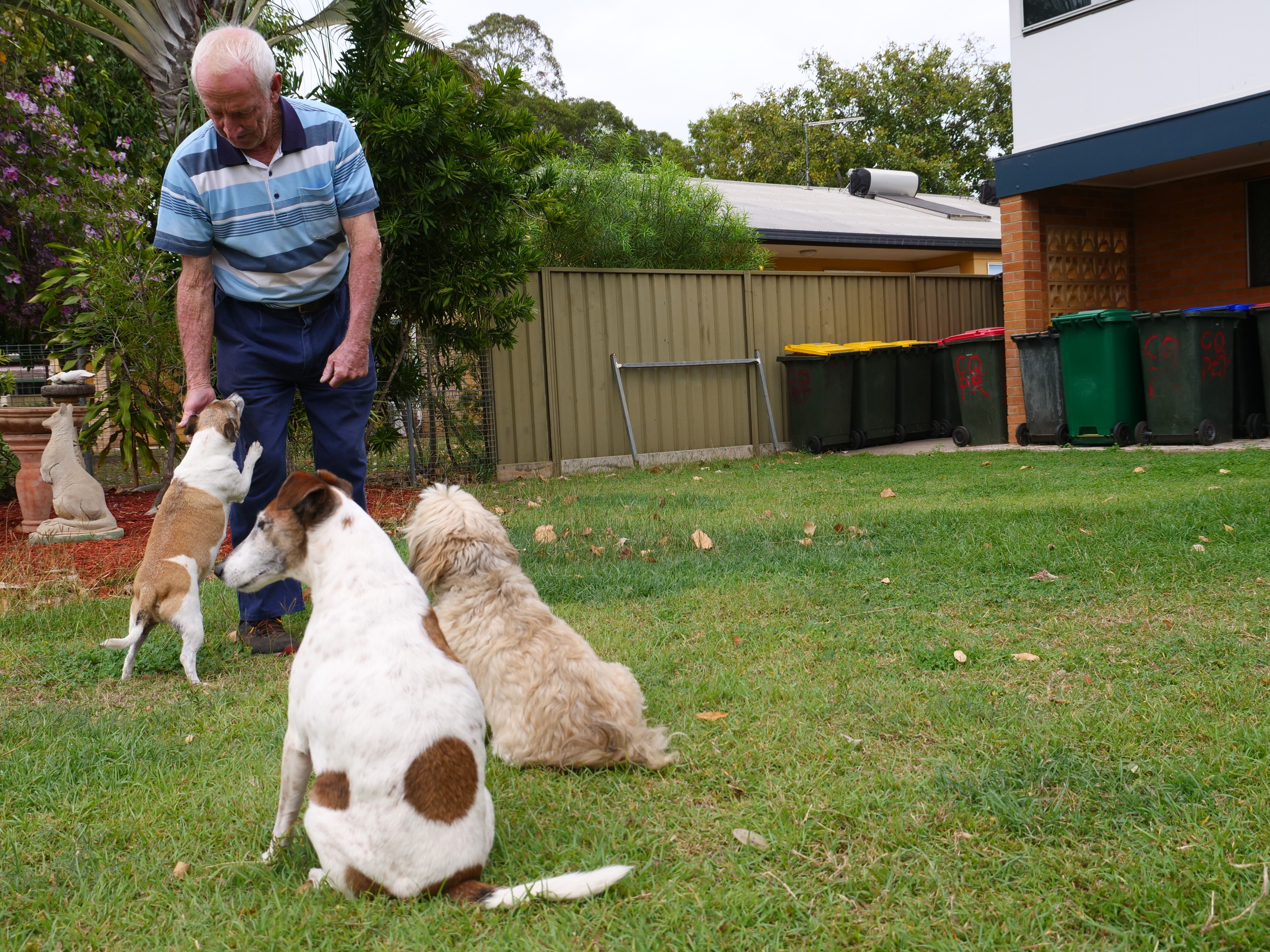 An older man leans over to pet his dog. There are three dogs in front of him in total and a row of bins in the background