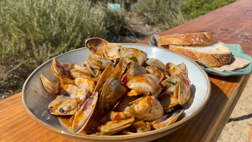 A bowl of shells in a red sauce with some bread on a plate next to it