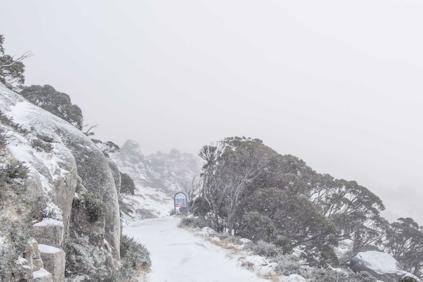 Snow at Thredbo