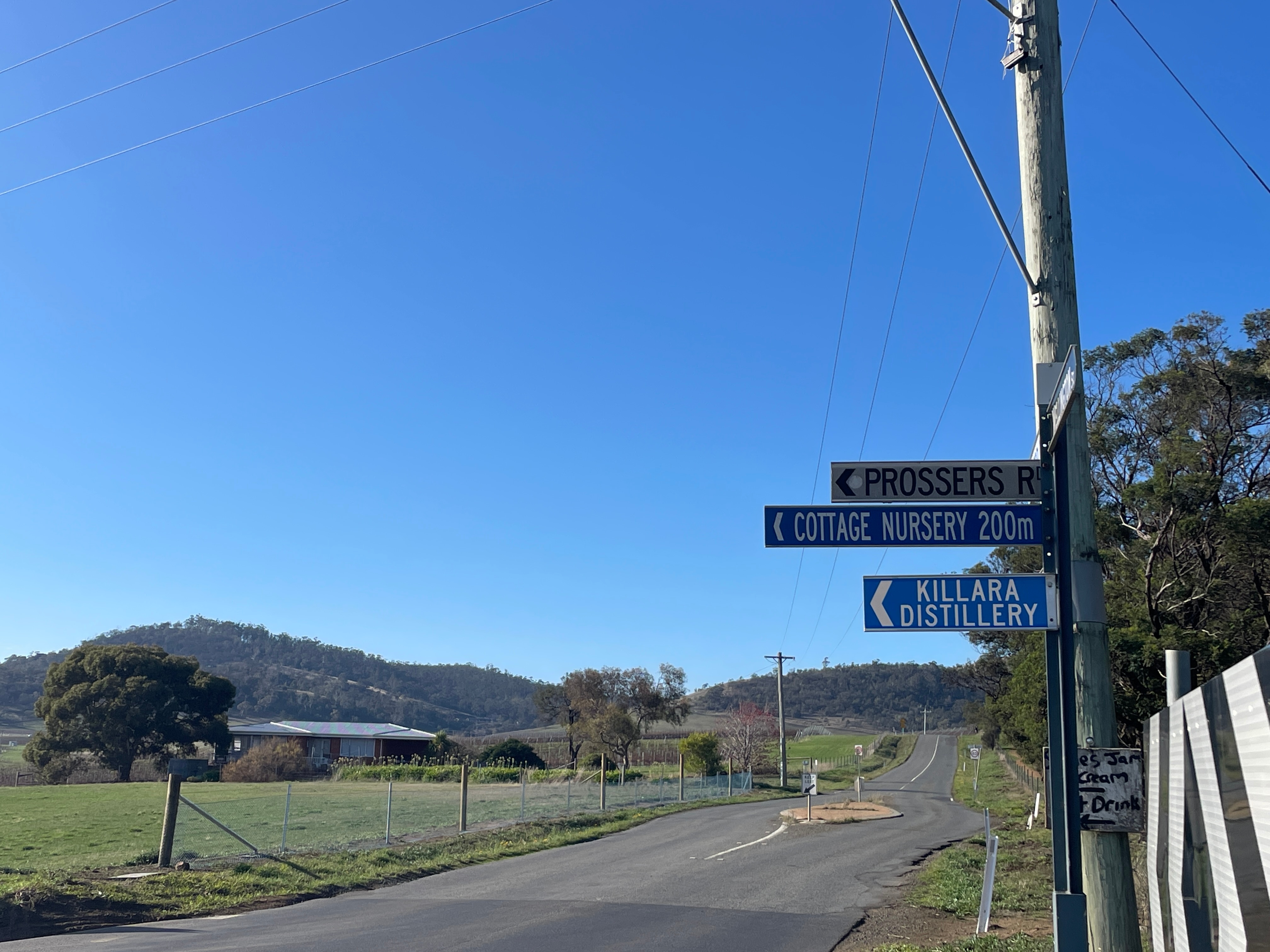 street signs on a power pole