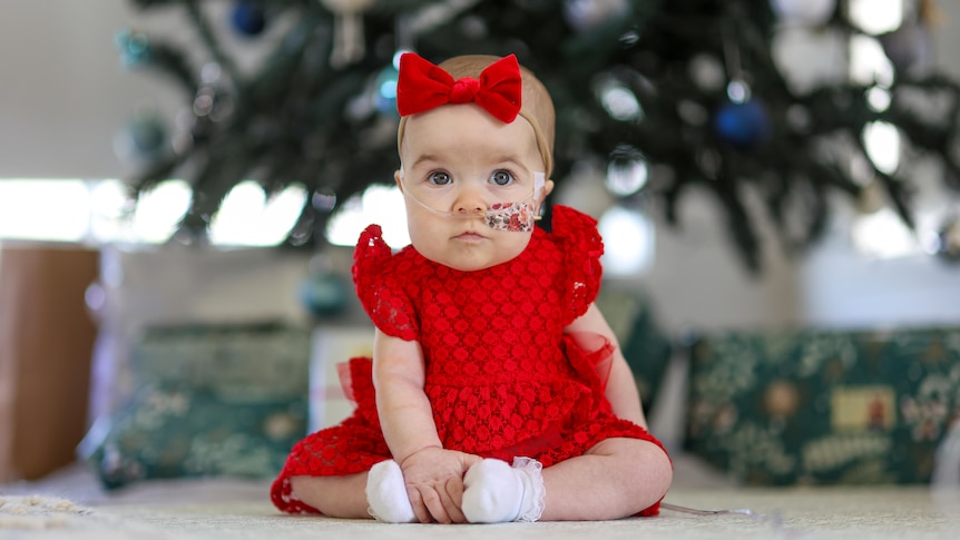 Elsie Cox in a red dress with a bow in her hair in front of a Christmas tree.